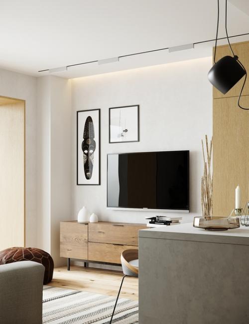 Квартира площадью 50 м 2. 04