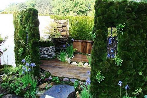 В последнее время вертикальное озеленение большое распространение получило. 01