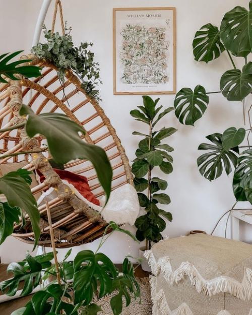 Множество декора, кухонной утвари и растений в доме с шикарным красным диваном. 03