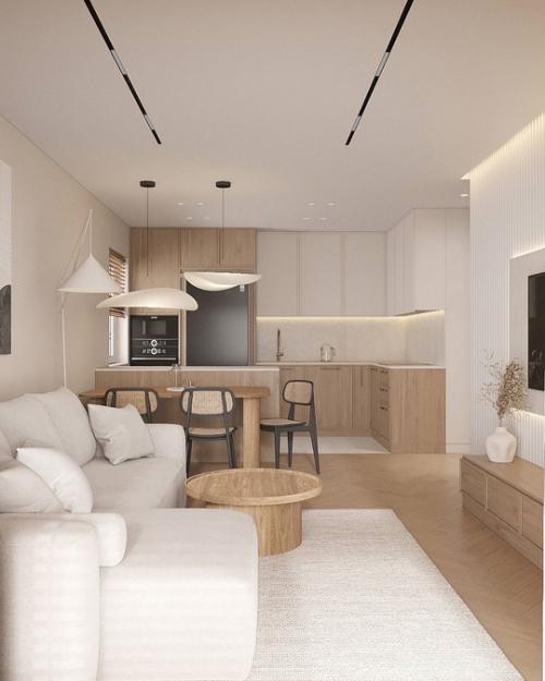 Гостиная с кухонным уголком площадью 20 м 2. 02