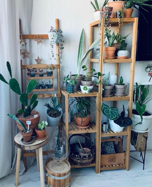 Иметь стильный зелёный уголок в городской квартире этот так здорово и так свежо! 02