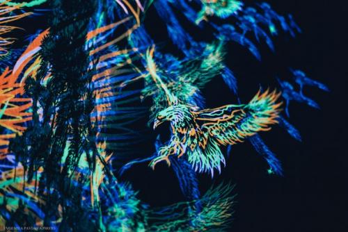 Флуоресцентные полотна Fluorescent Backdrop? 02