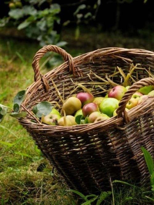 Вопрос:  Как понять, что я действительно вибрирую желаемым, а не просто впустую мечтаю? 01