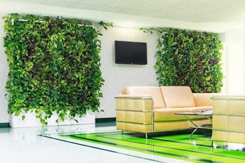 В последнее время вертикальное озеленение большое распространение получило. 05