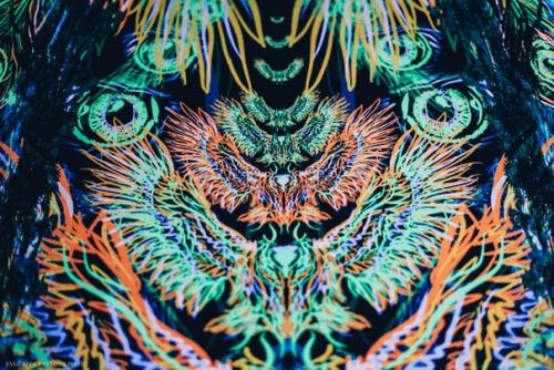 Флуоресцентные полотна Fluorescent Backdrop? 01