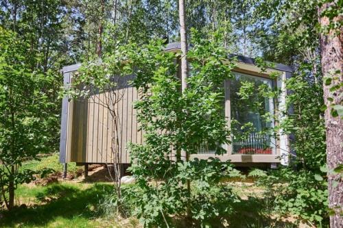 Наш первый FL 31 Next спрятался в лесу Всеволожского района. 01