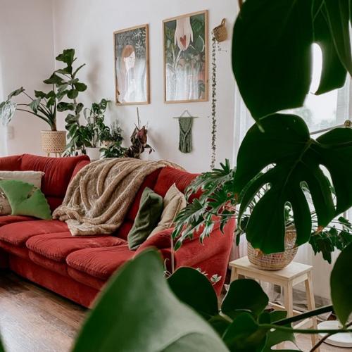 Множество декора, кухонной утвари и растений в доме с шикарным красным диваном. 01