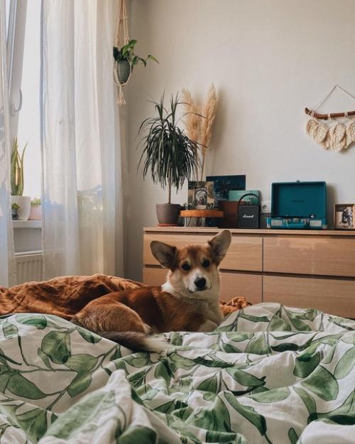 Детали интерьера в Санкт-петербурге Svetinas. 05