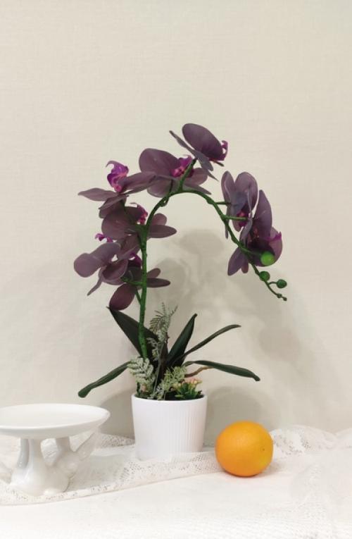 Такие цветы красивы в любое время года и подходят как для гостиной, так и для спальни или ванной комнаты. 04