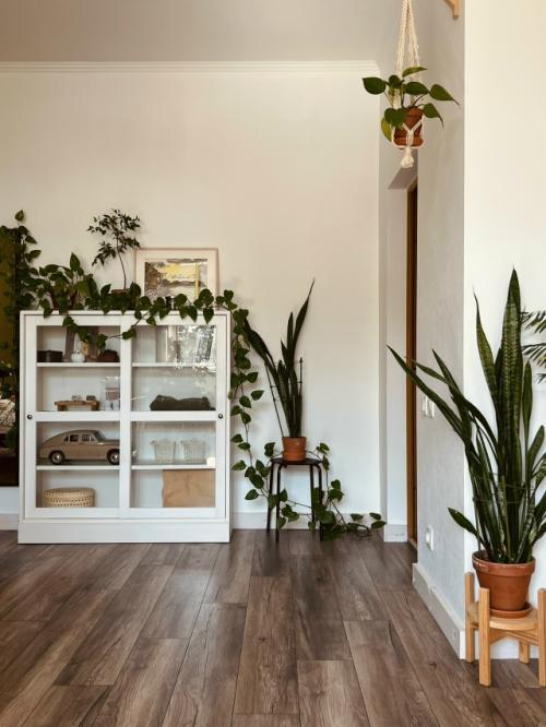 Красивая жизнь.  Лет 10 назад я зачитывалась одним блогом. 01