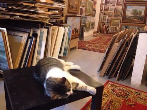 20 лучших художественных галерей Петербурга. 06