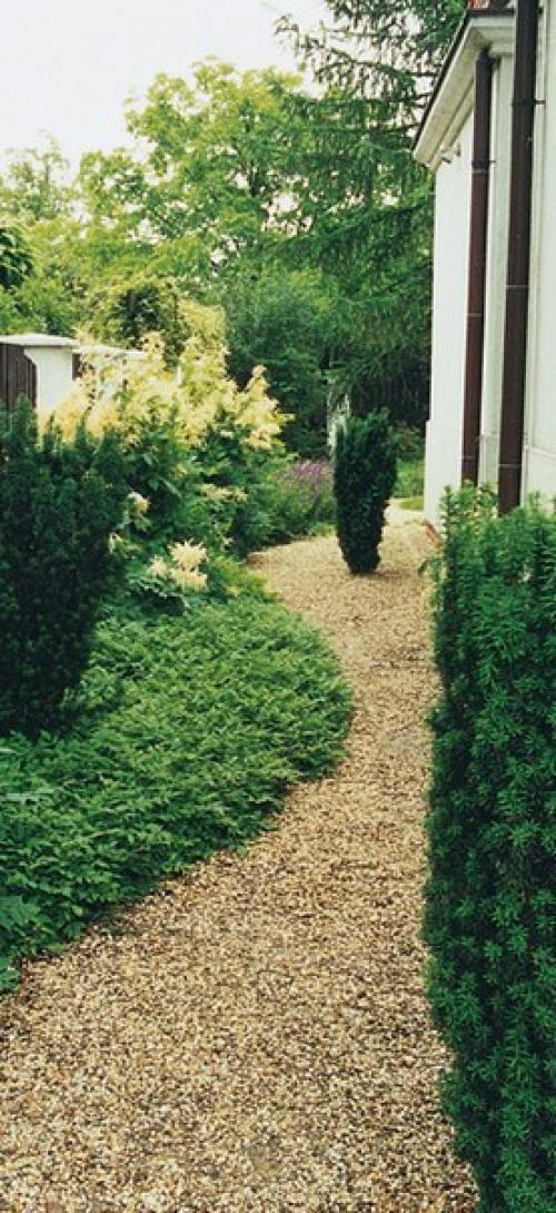 == Пять Идей оформления ландшафта на узком участке ==.