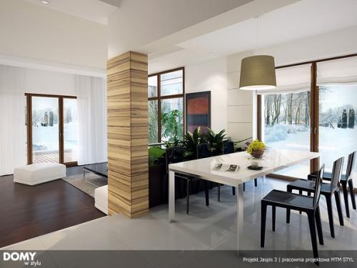 Популярный проект стильного дома Jaspis 3 интерьер. 03