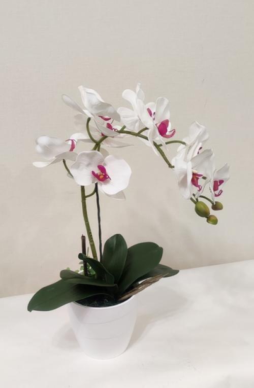 Такие цветы красивы в любое время года и подходят как для гостиной, так и для спальни или ванной комнаты. 03