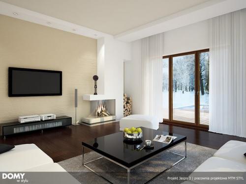 Популярный проект стильного дома Jaspis 3 интерьер. 05