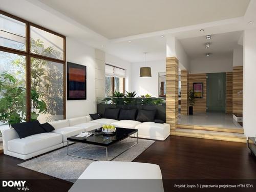 Популярный проект стильного дома Jaspis 3 интерьер. 04