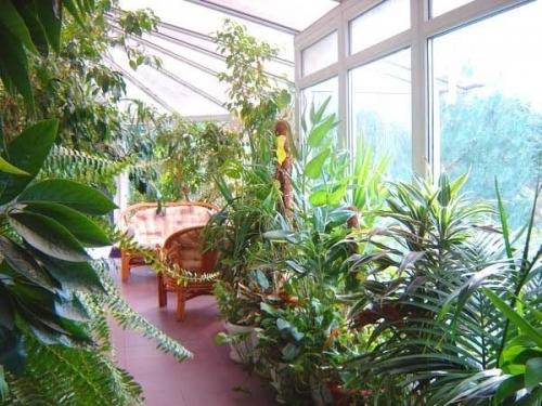 Зимний сад в доме своими руками. 06 Зимний сад в доме своими руками. 06