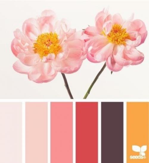 Цветовые сочетания?   Аналог. 05