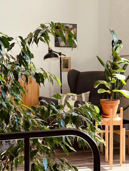 Красивая жизнь.  Лет 10 назад я зачитывалась одним блогом. 04