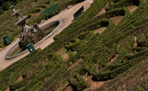 Хотите приятный сюрприз, когда будете в Палермо? 02