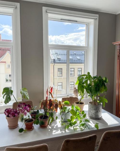 Интерьер мужской квартиры, в которой хозяин пытается создать домашний уют. 03