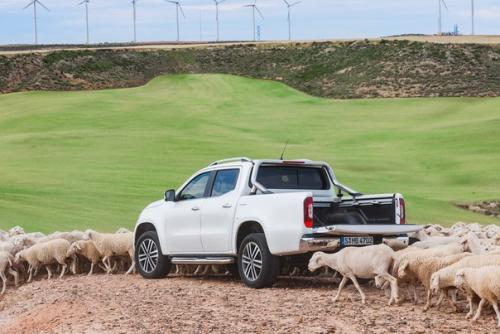 Автоновости - обзоры.   Х - класс - новый рамный Мерседес по цене паркетника. 09