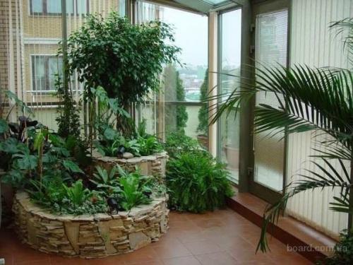 Зимний сад в доме своими руками. 03 Зимний сад в доме своими руками. 03