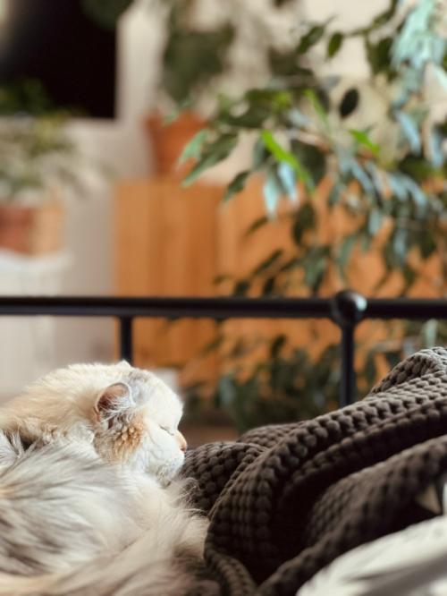 Красивая жизнь.  Лет 10 назад я зачитывалась одним блогом. 05