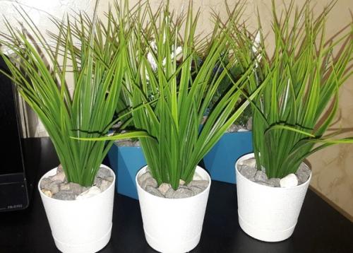 В последнее время дизайнеры предлагают все новые и новые варианты декорирования жилых пространств. 01