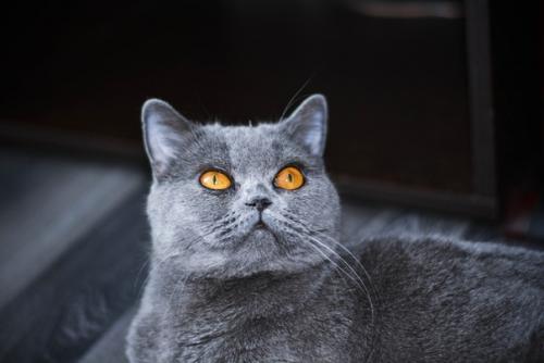 О судьбе бусинки можно смело писать книгу, снимать фильм и ставить пьесу. 02