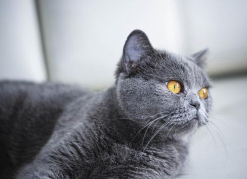 О судьбе бусинки можно смело писать книгу, снимать фильм и ставить пьесу. 01