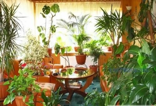 Зимний сад в доме своими руками. 01 Зимний сад в доме своими руками. 01