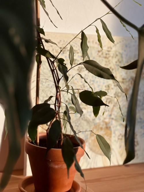 Красивая жизнь.  Лет 10 назад я зачитывалась одним блогом. 03