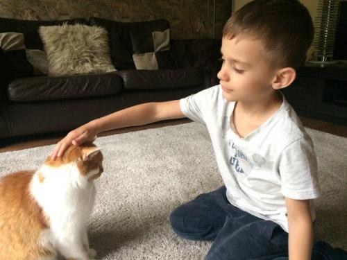 Снять комнату в ЕВРОПЕ. 03