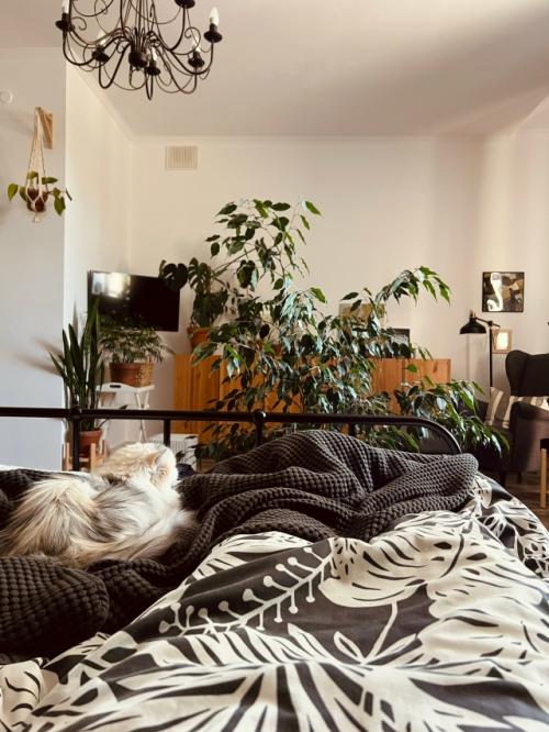 Красивая жизнь.  Лет 10 назад я зачитывалась одним блогом. 06