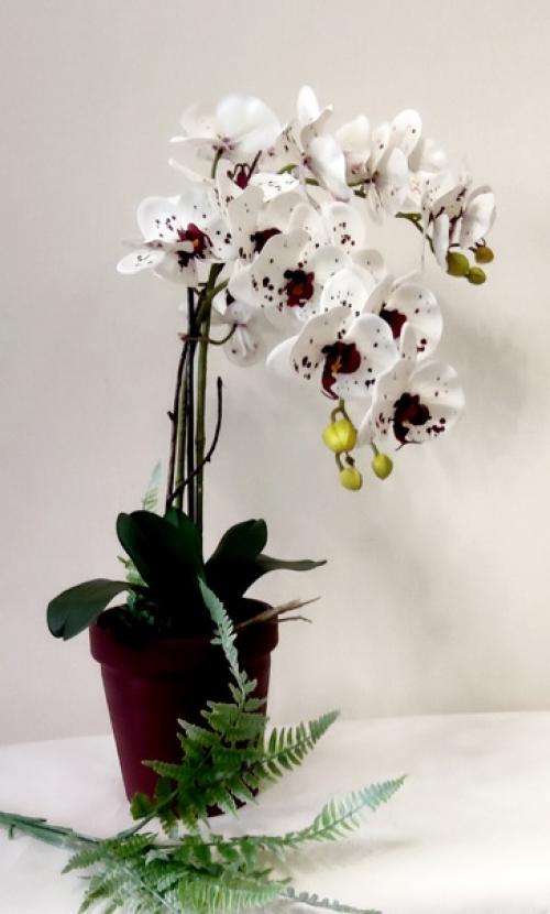 Такие цветы красивы в любое время года и подходят как для гостиной, так и для спальни или ванной комнаты. 01