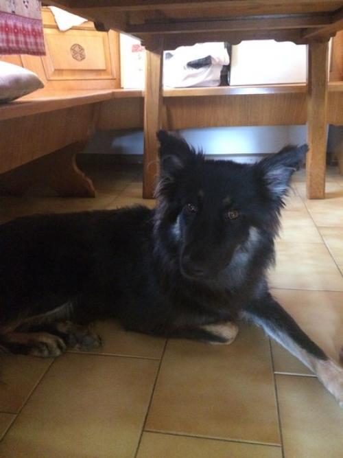 Снять комнату в ЕВРОПЕ. 08