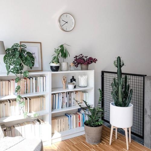 Белые стены, деревянная мебель и декор, растения и уютный текстиль - классика скандинавского стиля в интерьере. 02