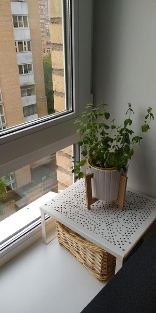 Хозяйке придан неправильный образ. 04