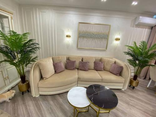 Отдельным постом выкладываю фотографии пальм, которые уже уехали в новые интерьеры. 04