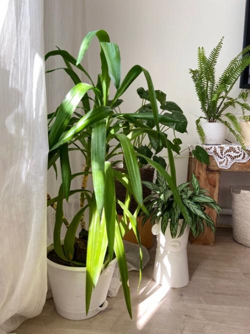 Детали вносят в интерьер особую изюминку! 04