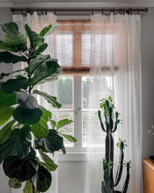 Дом в скандинавском стиле с винтажной мебелью и зелёными растениями. 02