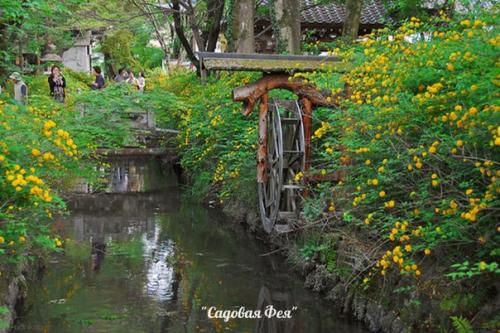 Лучшие садовые дизайны.

