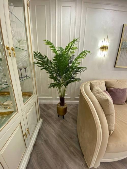 Отдельным постом выкладываю фотографии пальм, которые уже уехали в новые интерьеры. 02