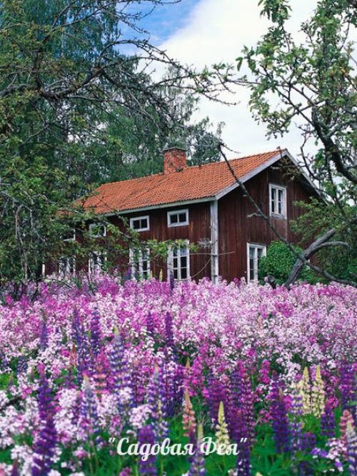 Лучшие садовые дизайны. 03