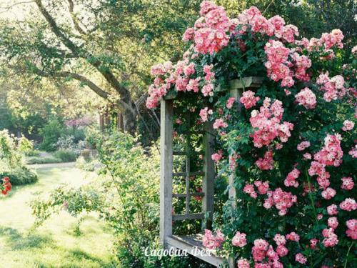 Лучшие садовые дизайны. 05