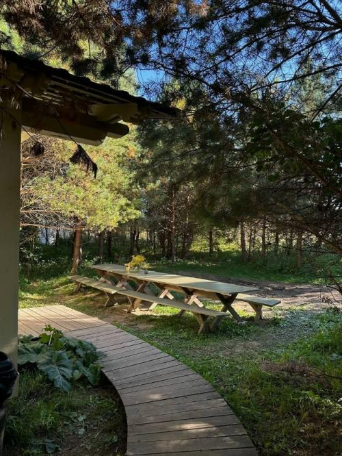 Глэмпинг Зелёная Тропа в тульской области - это отдых на природе с комфортом. 01