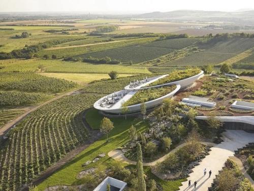 В венгерском регионе токай - хедьялья появилась винодельня Sauska Tokaj, архитектура которой будто парит над землёй. 02