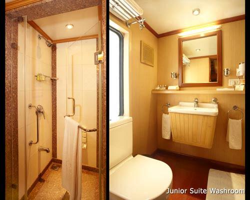 Элитный и самый дорогой поезд Экспресс Махараджей. 05