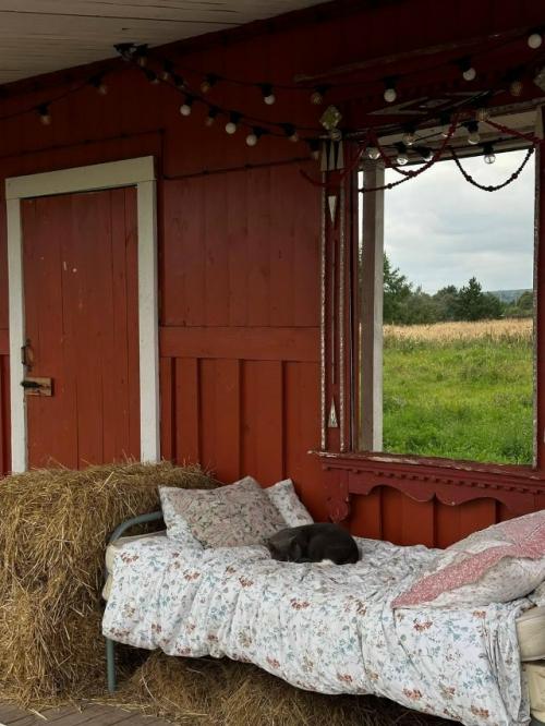 Глэмпинг Зелёная Тропа в тульской области - это отдых на природе с комфортом. 08